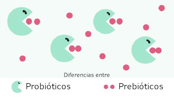 Diferencias entre prebióticos y probióticos